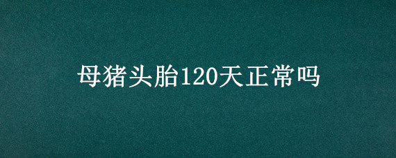 母猪头胎120天正常吗（头胎母猪120天了为啥没反应）