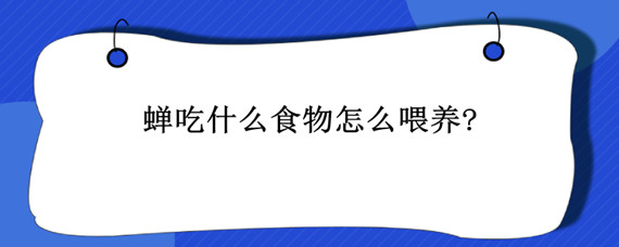 蝉吃什么食物怎么喂养?（蝉喜欢吃什么 怎么养）