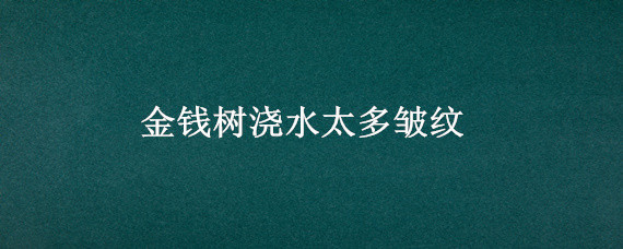 金钱树浇水太多皱纹(金钱树生长期要多浇水)