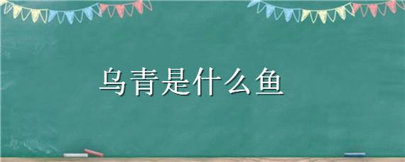 乌青是什么鱼 乌青鱼百度百科