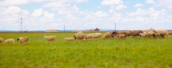 土地深耕的好处和坏处 土地深耕利与弊