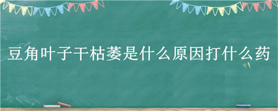 豆角叶子干枯萎是什么原因打什么药 豆角叶萎缩是什么病
