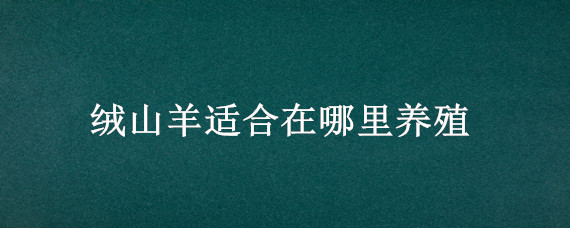 绒山羊适合在哪里养殖 养殖场怎么才能把绒山羊养好