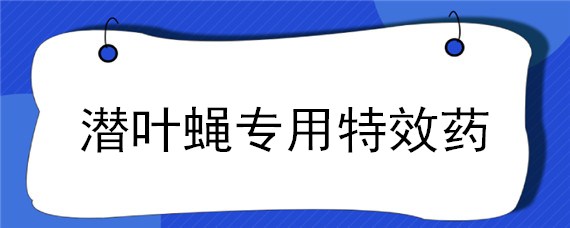 潜叶蝇专用特效药 潜叶蝇用什么药