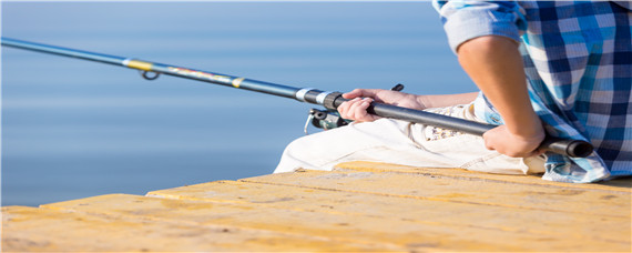 怎么钓鱼鱼容易上钩 水库怎么钓鱼鱼容易上钩