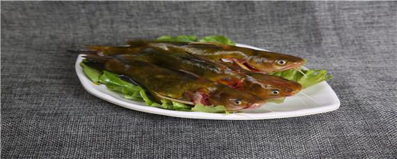 昂刺鱼有毒的黑线在哪 昂刺鱼有毒的黑线在哪里