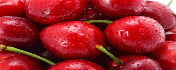 丰收100大樱桃品种介绍（樱桃大果品种）