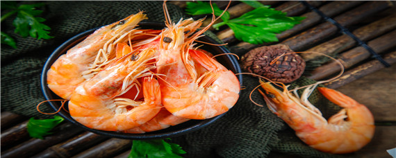 对虾养殖技术（对虾养殖技术资料）