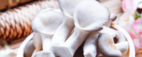 秀珍菇的生长过程 秀珍菇的生长过程图片