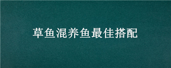 草鱼混养鱼最佳搭配 草鱼混养鱼最佳搭配比例