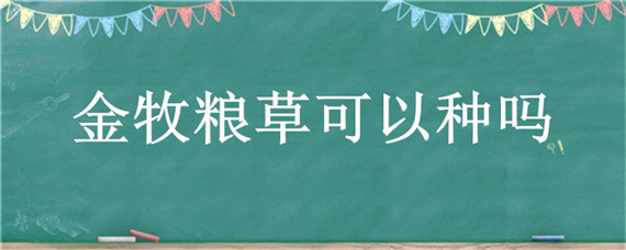 金牧粮草可以种吗（金牧粮草的生长环境）