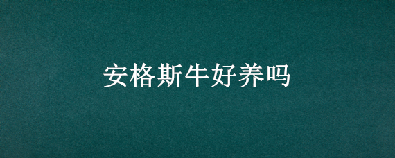 安格斯牛好养吗（安格斯牛怎么样?为什么有人说不要养安格斯牛!）