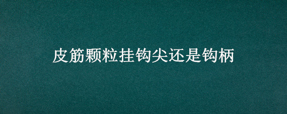 皮筋颗粒挂钩尖还是钩柄 鱼钩怎么挂皮筋颗粒
