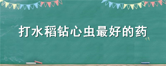 打水稻钻心虫最好的药（打水稻钻心虫用什么药）
