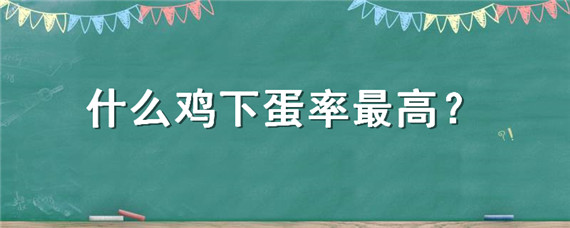 什么鸡下蛋率最高（哪种鸡下蛋最多）