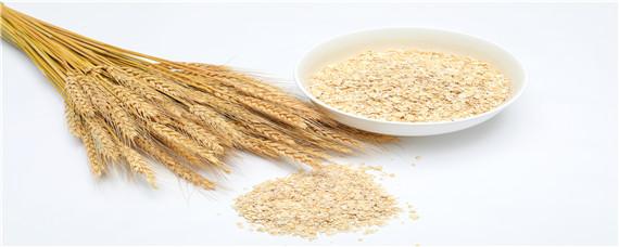 小麦拌种后能放多久（小麦拌种后可以存放多久）