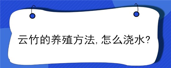 云竹的养殖方法,怎么浇水? 云竹刚栽怎么浇水