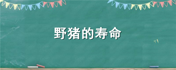 野猪的寿命 野猪为什么寿命长
