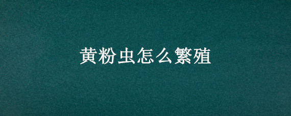 黄粉虫怎么繁殖 黄粉虫的繁殖请解释的详细一点