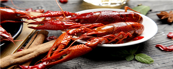 巨型淡水龙虾（巨型淡水龙虾养殖）