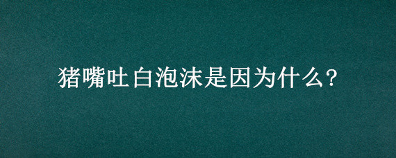 猪嘴吐白泡沫是因为什么?（大猪嘴吐白泡沫是因为什么?）