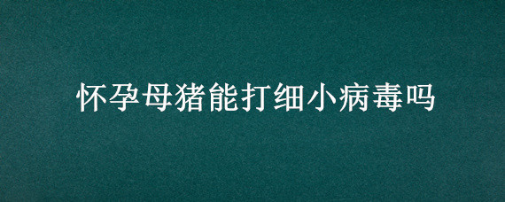 怀孕母猪能打细小病毒吗 母猪怀孕期间能打细小病毒吗