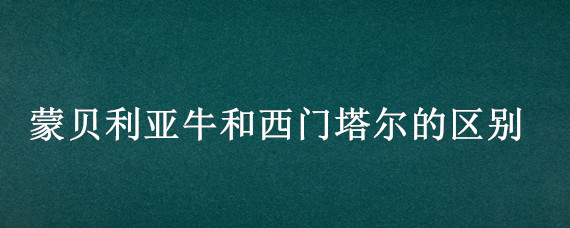 蒙贝利亚牛和西门塔尔的区别 蒙贝利亚牛的特点