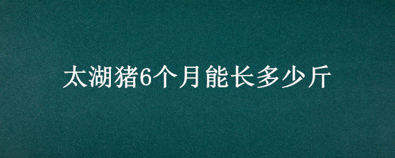 太湖猪6个月能长多少斤 太湖猪四个月能长多重