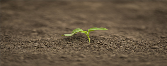 土壤酸化的原因及解决措施 土壤酸化的原因和防治对策