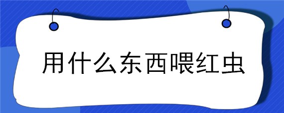 用什么东西喂红虫 红虫需要喂什么东西