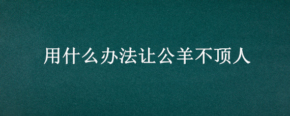 用什么办法让公羊不顶人 公羊顶人解决办法