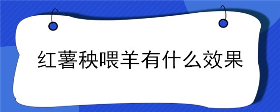 红薯秧喂羊有什么效果（干红薯秧喂羊有什么效果）