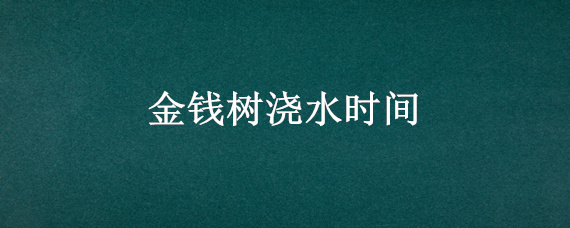 金钱树浇水时间（金钱树的浇水时间）
