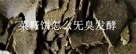 菜籽饼怎么无臭发酵（菜籽饼怎么无臭发酵做花肥）