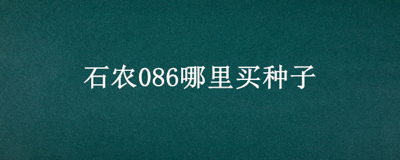 石农086哪里买种子 石农086简介