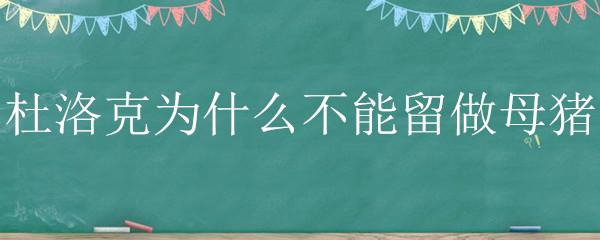 杜洛克为什么不能留做母猪 为什么杜洛克后代不能留母猪