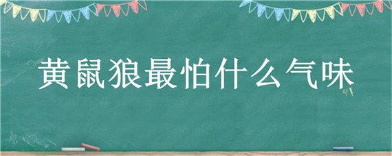 黄鼠狼最怕什么气味 黄鼠狼最怕闻的味道