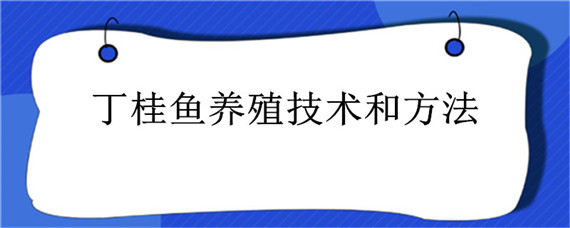 丁桂鱼养殖技术和方法（丁桂花鱼养殖）