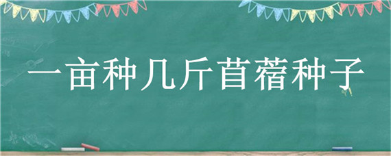 一亩种几斤苜蓿种子（一斤苜蓿种子可以种多大面积）