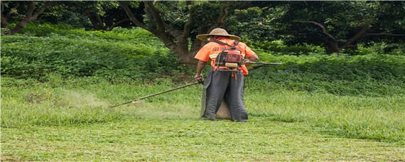 除草剂有哪些品种（水稻除草剂有哪些品种）