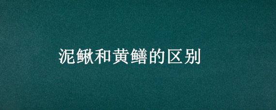 泥鳅和黄鳝的区别（泥鳅和黄鳝的功效与作用）