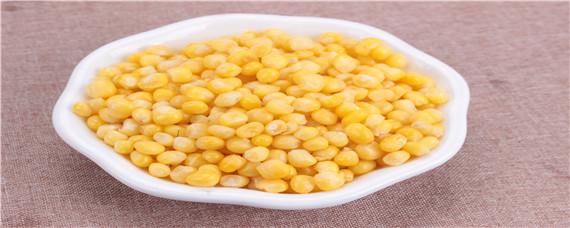 皮筋颗粒和玉米哪个好用 颗粒和玉米哪个效果好