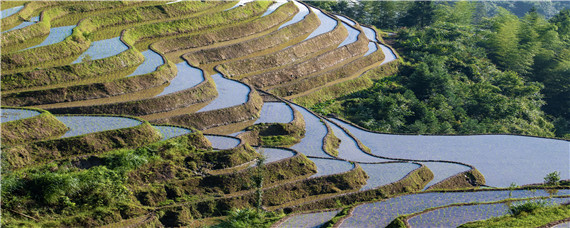 春分种植注意事项（春季种植注意事项）
