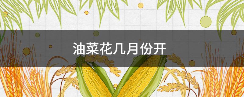 油菜花几月份开（江西婺源油菜花几月份开）