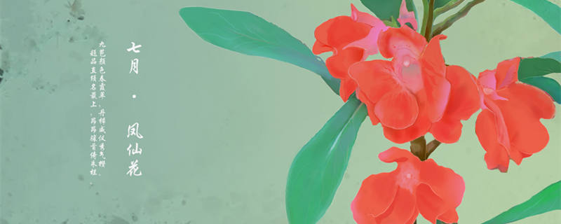 凤仙花的茎是什么类型的茎（凤仙花的茎是什么茎什么或什么常与花色有关）