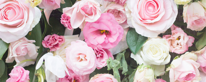 送母亲鲜花送什么花 送母亲节送什么花