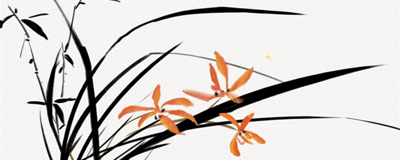 金边吊兰叶子发黄怎么办（冬季金边吊兰叶子发黄怎么办）