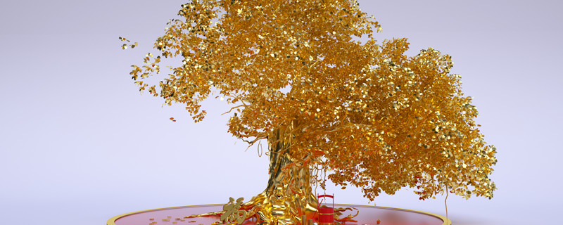 发财树叶子发黄什么原因(发财树叶子发黄是怎么回事呢)