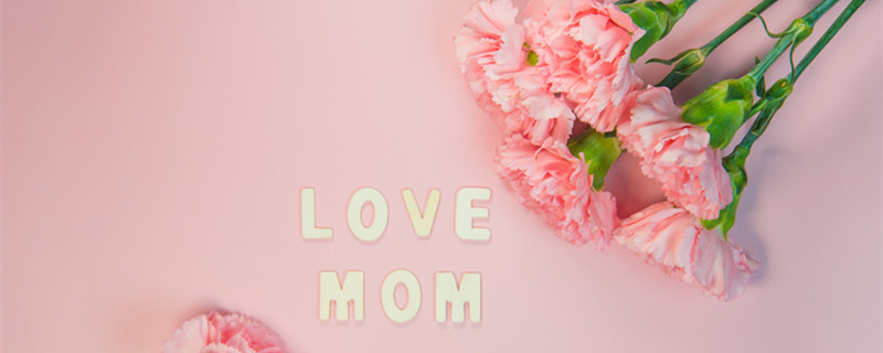 粉色康乃馨花语是什么 粉色康乃馨花的花语