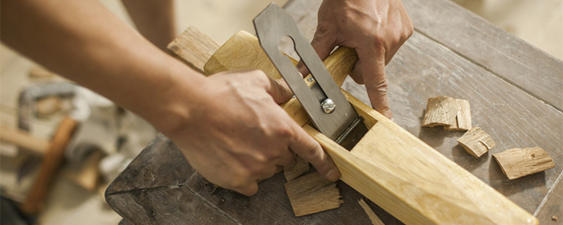 金丝楠木树苗适合哪些地方种植 金丝楠木树在哪些地方可种植